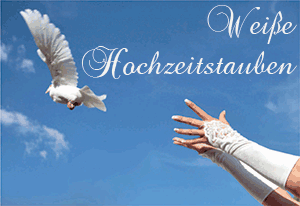 Weiße Hochzeitstauben